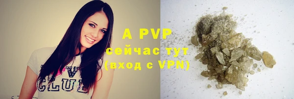 МДПВ Касимов