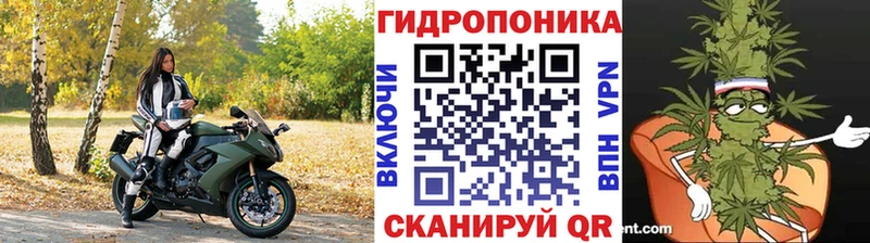 Бошки марихуана марихуана  Купить где  Ржев 
